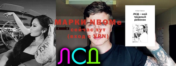 ешки Арсеньев