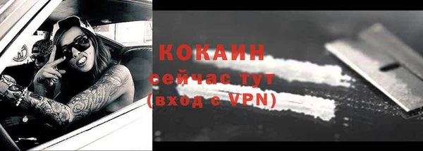 ешки Арсеньев