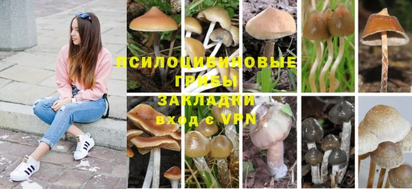 прущая мука Аркадак
