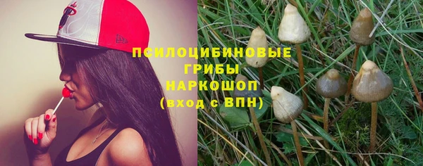 ешки Арсеньев