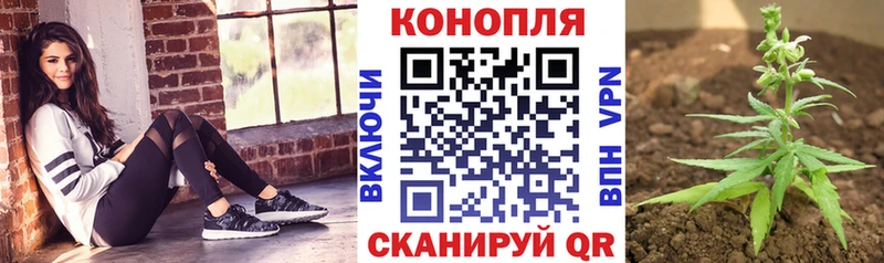 Шишки марихуана планчик Октябрьск